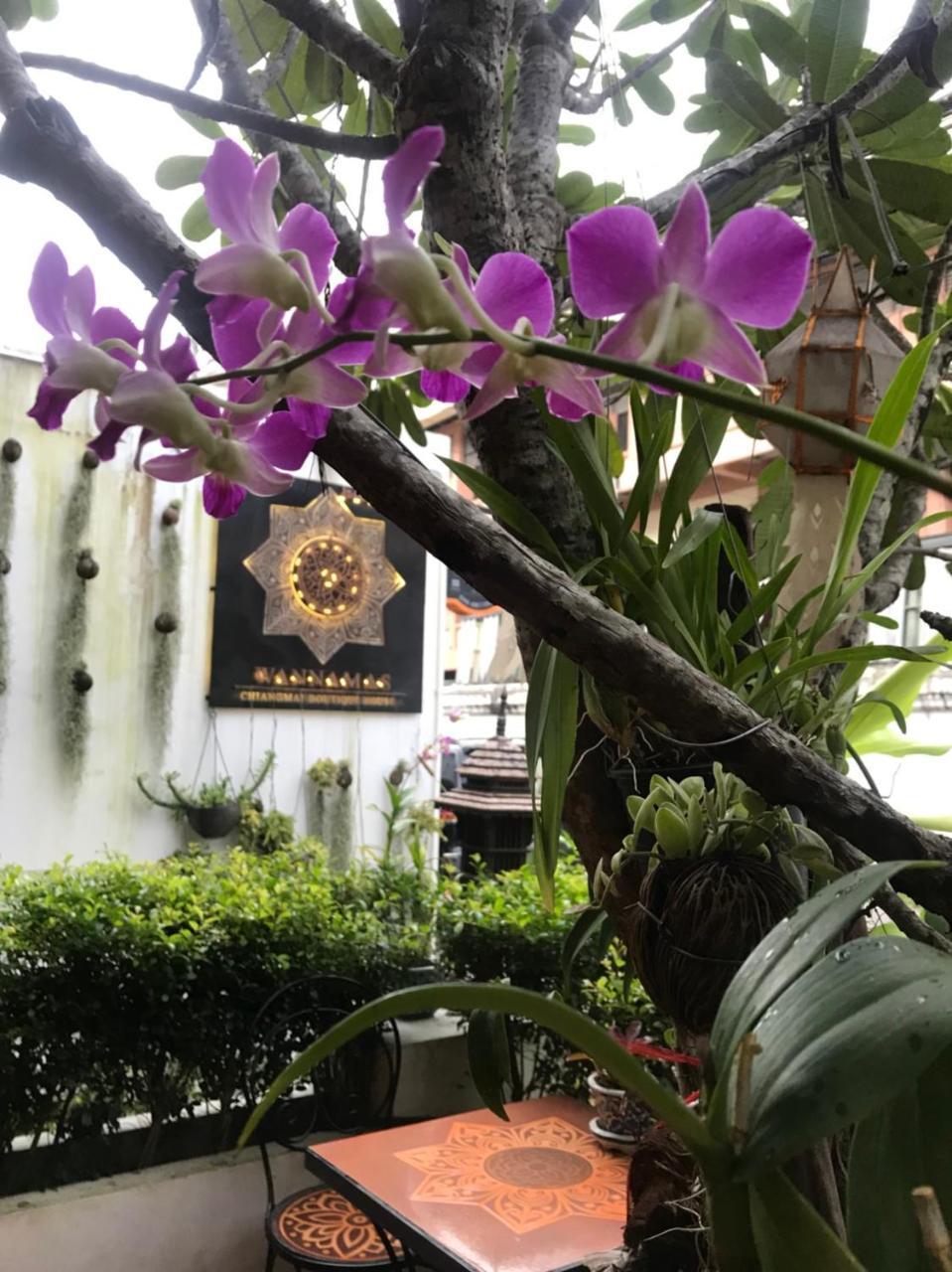 Готель Wannamas Chiangmai Boutique House Чіангмай Екстер'єр фото